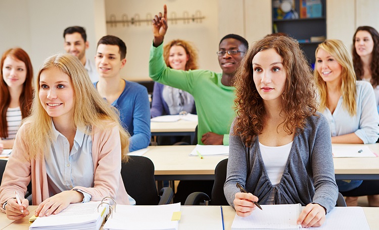 Essay Writing Services